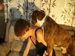 Doggy fucking a lady in couch